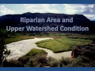 Riparian Area and Upper Watershed Condition