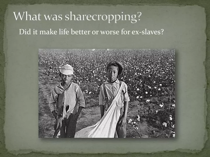 what was sharecropping