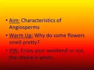 Aim: Characteristics of Angiosperms Warm Up: Why do some flowers smell pretty?