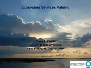 Ecosystem Services Valuing