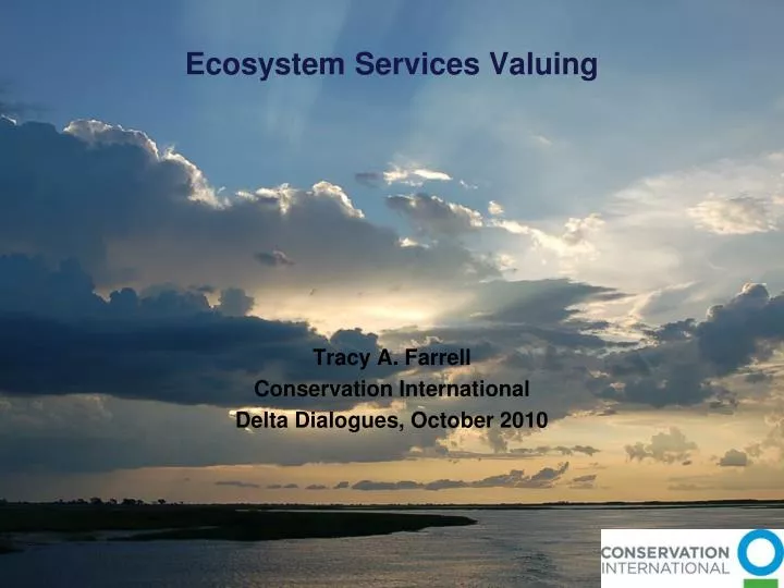 ecosystem services valuing