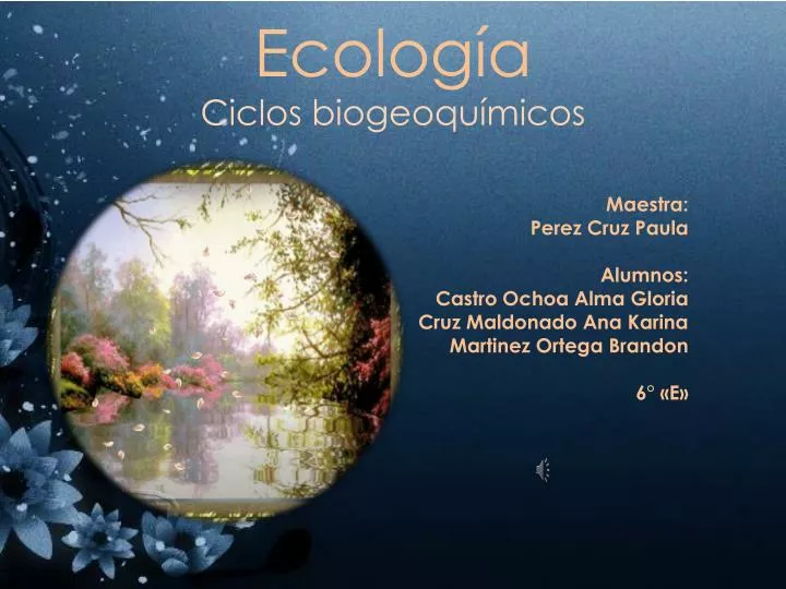 ecolog a ciclos biogeoqu micos