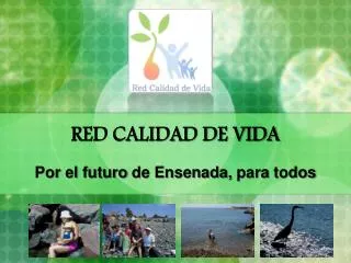 red calidad de vida