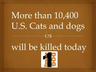 More than 10,400 U.S. Cats and dogs will be killed today
