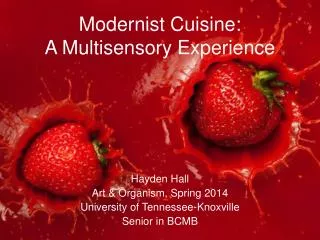 Modernist Cuisine: A Multisensory Experience