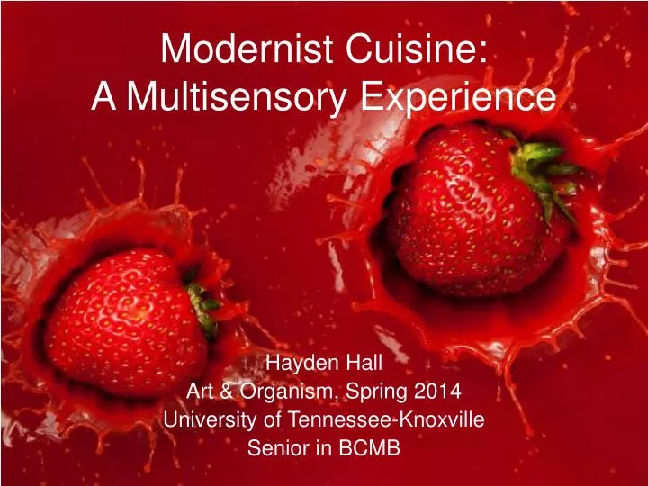 modernist cuisine a multisensory experience