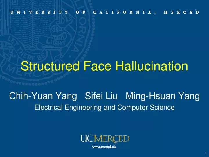structured face hallucination