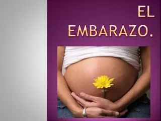 el embarazo