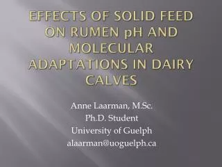Effects of Solid Feed on Rumen p H and Molecular Adaptations in Dairy Calves