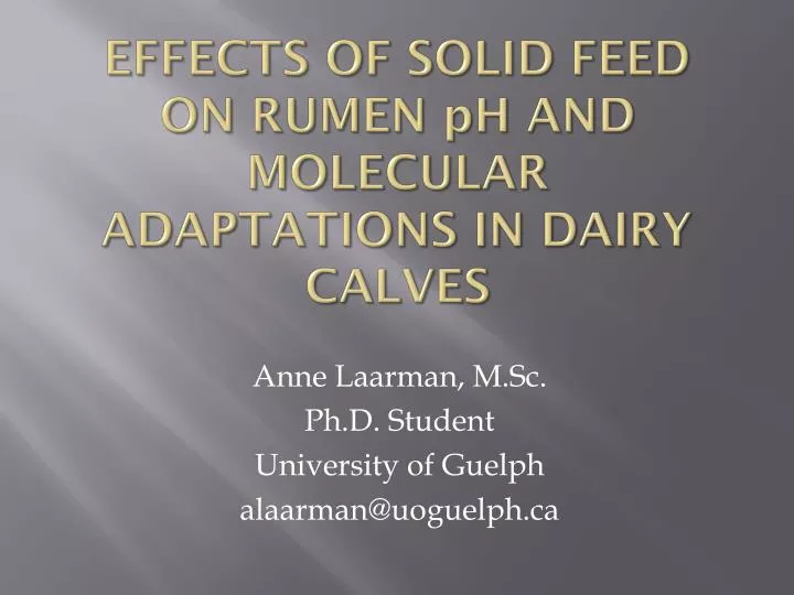 effects of solid feed on rumen p h and molecular adaptations in dairy calves
