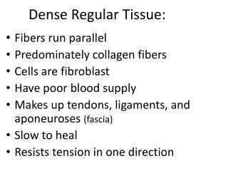 Dense Regular Tissue: