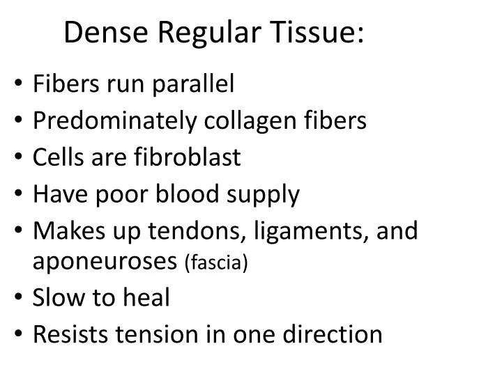 dense regular tissue