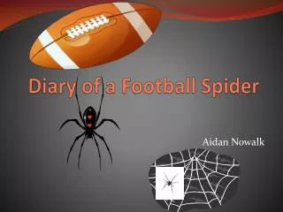 Diary of a F ootball S pider