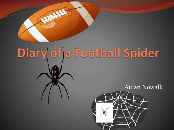 diary of a f ootball s pider
