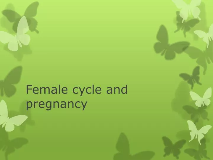 female cycle and pregnancy