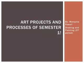 Art Projects and Processes of Semester 1!