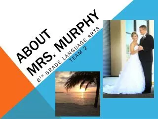 About Mrs. Murphy