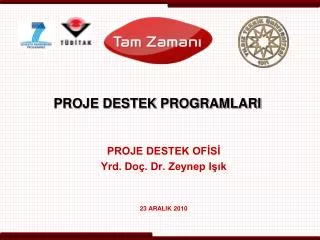 proje destek programlari