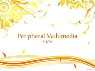 peripheral multimedia