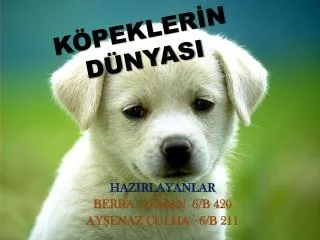 k pekler n d nyasi