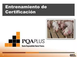entrenamiento de certificaci n