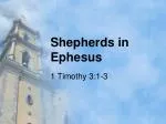 Shepherds in Ephesus - slide 1