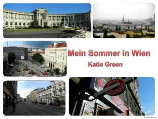 mein sommer in wien