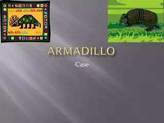 Armadillo