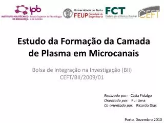 estudo da forma o da camada de plasma em microcanais