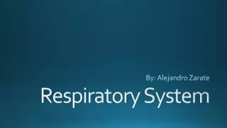 Respiratory System