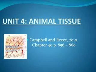 UNIT 4: ANIMAL TISSUE