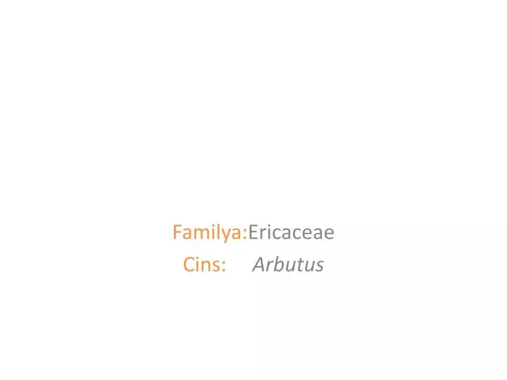 familya ericaceae cins arbutus