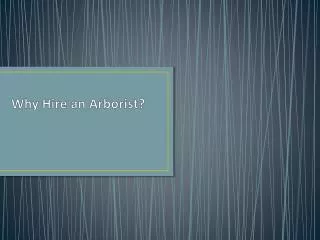 Why Hire an Arborist?