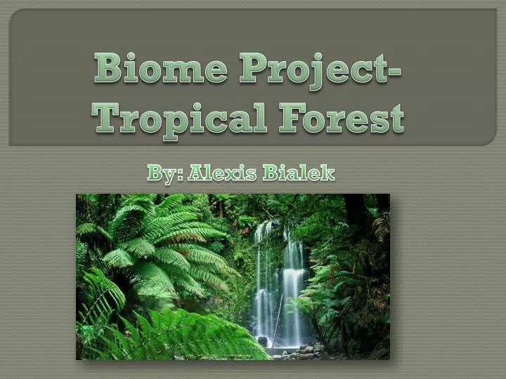 biome project tropical forest