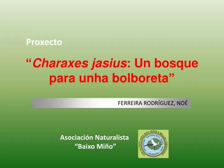 charaxes jasius un bosque para unha bolboreta