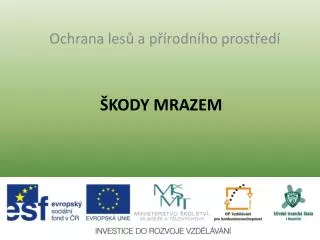 kody mrazem