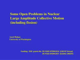 Some Open Problems in Nuclear Large Amplitude Collective Motion (including fission)