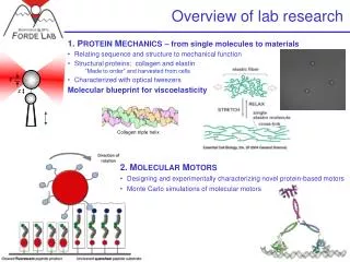 Overview of lab research