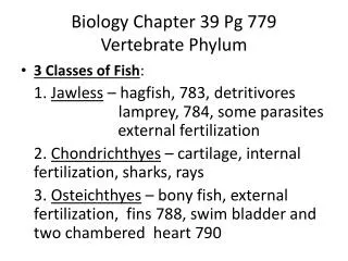 Biology Chapter 39 Pg 779 Vertebrate Phylum