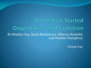 Plants Kick Started Oxygenation and Evolution