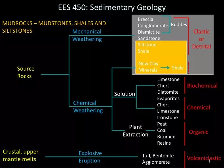 ees 450 sedimentary geology