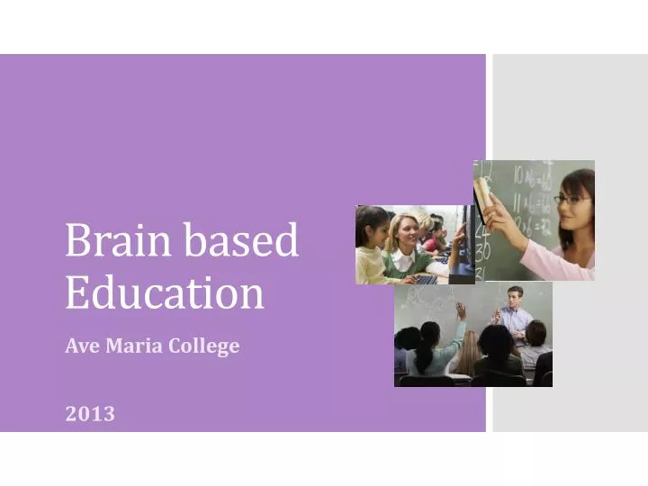 brain based education