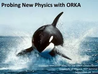 Probing New Physics with ORKA