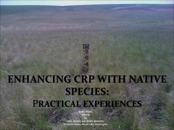enhancing crp with native species p ractical experiences