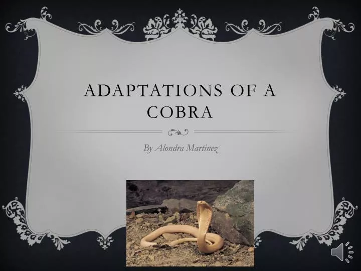 adaptations o f a cobra