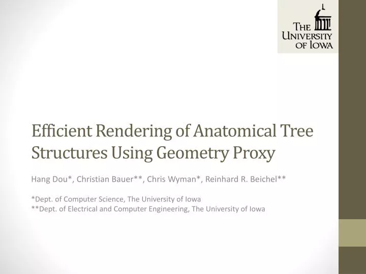 efficient rendering of anatomical tree structures using geometry proxy