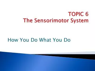 TOPIC 6 The Sensorimotor System