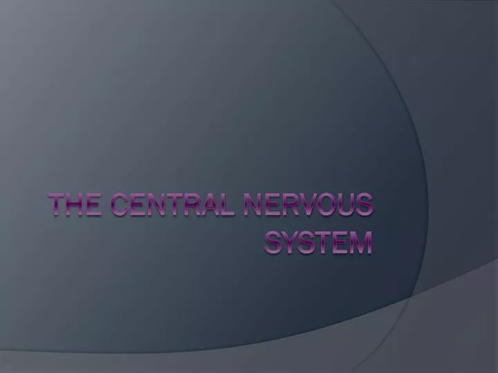 the central nervous system