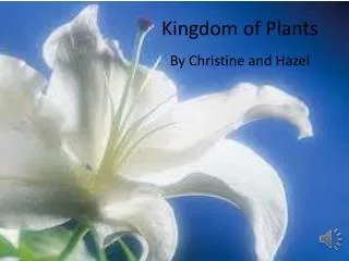 Kingdom of Plants