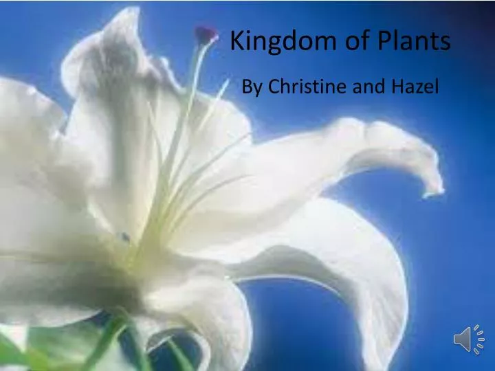 kingdom of plants